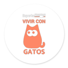 Vivir con gatos