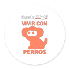 Vivir con perros
